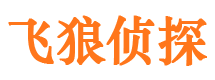 公主岭市调查取证